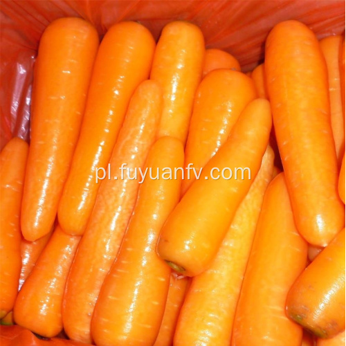 Wysokiej jakości nowa uprawa świeżej czerwonej marchewki